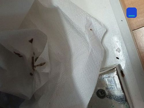 신교동 하수구막힘 아파트 베란다 하수구 정비